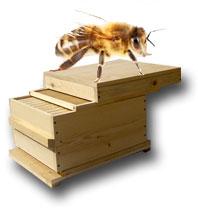 Custom Built Bee Hive