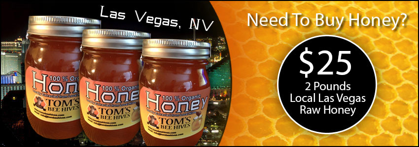 Local Las Vegas Raw Honey