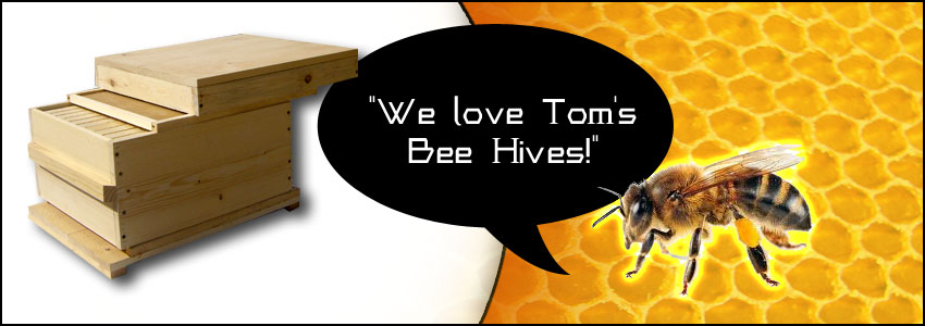 Tom's Bee Hives